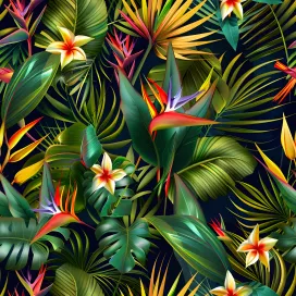 Jungle 277